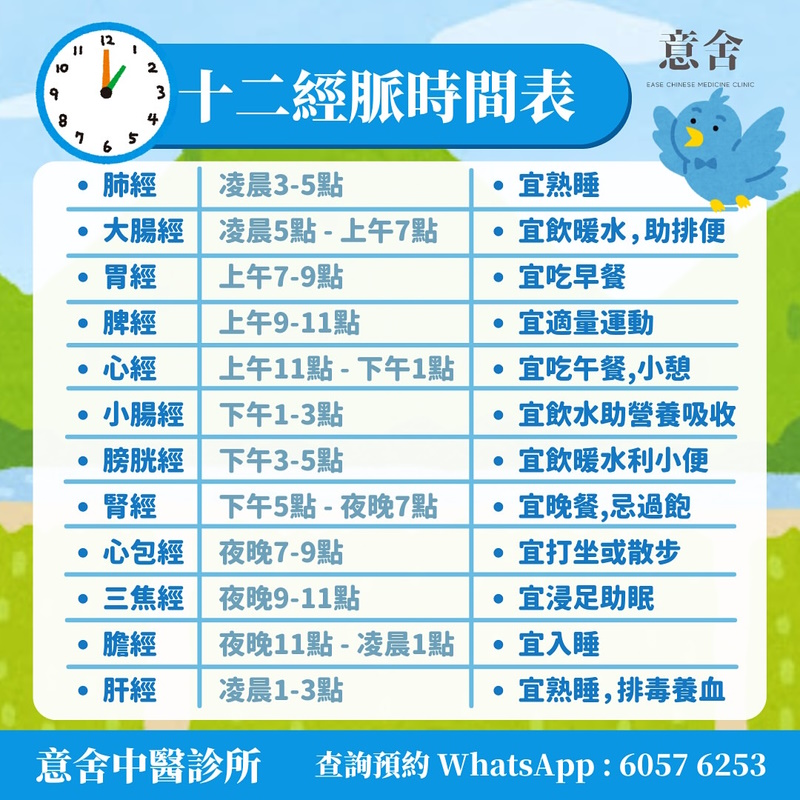 十二經脈養生時間表