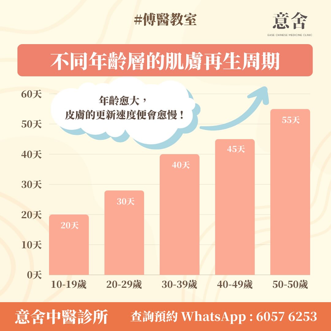 肌膚再生周期 肌膚再生周期